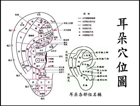 耳洞名稱